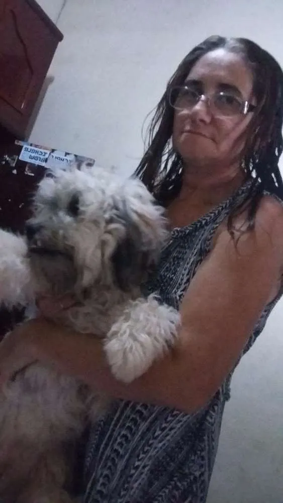 Cachorro ra a Poodle idade 3 anos nome Tobi