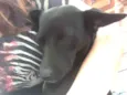 LUA