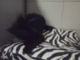 Não tem ainda