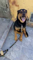 Zeus
