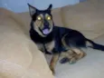 Zeus