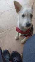 Nina