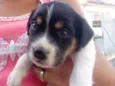 Sem nome