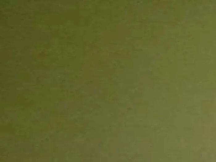 Gato ra a Nenhuma  idade 1 ano nome Bolinha 