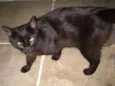 Ágata