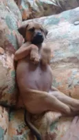Paçoca