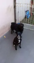 Leleca e Princesa