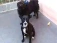 Leleca e Princesa