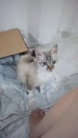 menina