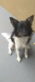 Baby lu