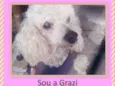 Grazi