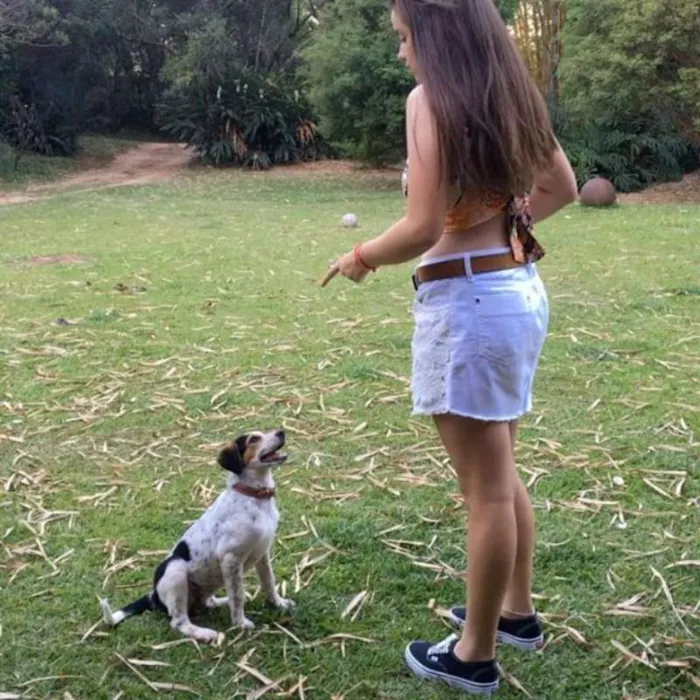 Cachorro raça Viralata idade 7 a 11 meses nome Olívia