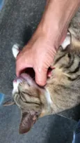 Docura