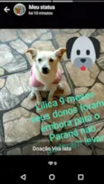 Lilica
