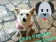 Lilica
