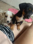 Ainda não possui