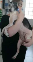 Vivi