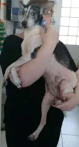 Vivi