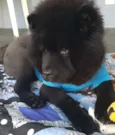 JACK