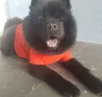 JACK