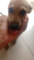 Não tem nome