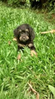 AQUILES