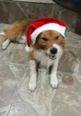 Nao tem