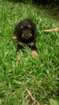 AQUILES  