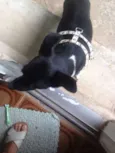 Deejjee