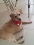 agatha