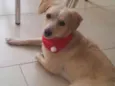 agatha