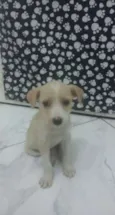Sem nomes