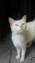 Nina