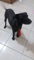 PAÇOCA