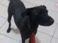 PAÇOCA