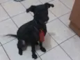 PAÇOCA