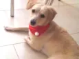 agatha