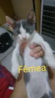 Sem nome