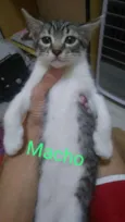 Sem nome