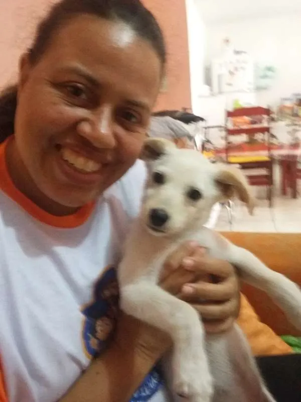 Cachorro ra a SRD idade Abaixo de 2 meses nome BOOMER