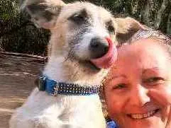 Cachorro ra a Mista idade 7 a 11 meses nome Leona