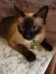 Naninha GRATIFICA
