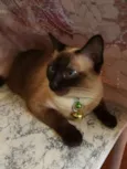 Naninha GRATIFICA