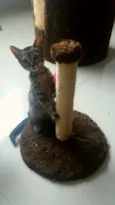 Chiquinha