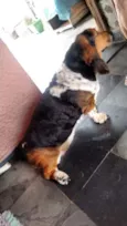 Nina