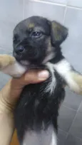 indefinido
