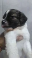 indefinido