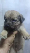 indefinido