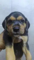 indefinido