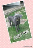 ARETHA